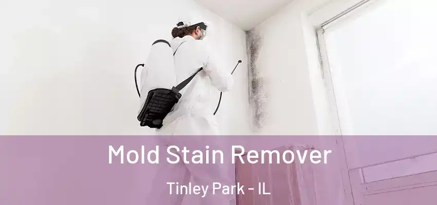 Mold Stain Remover Tinley Park - IL