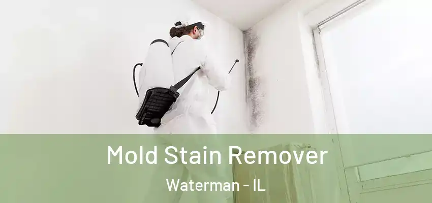 Mold Stain Remover Waterman - IL