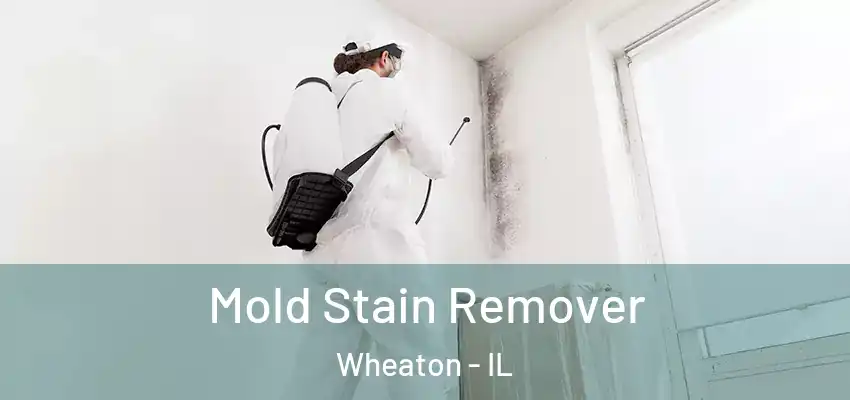 Mold Stain Remover Wheaton - IL