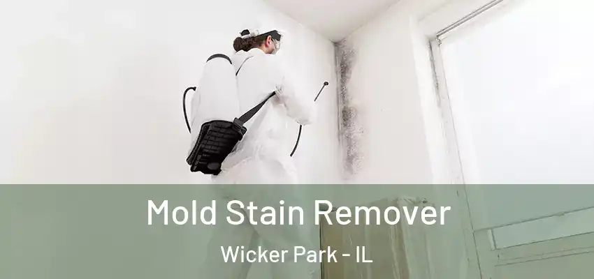 Mold Stain Remover Wicker Park - IL