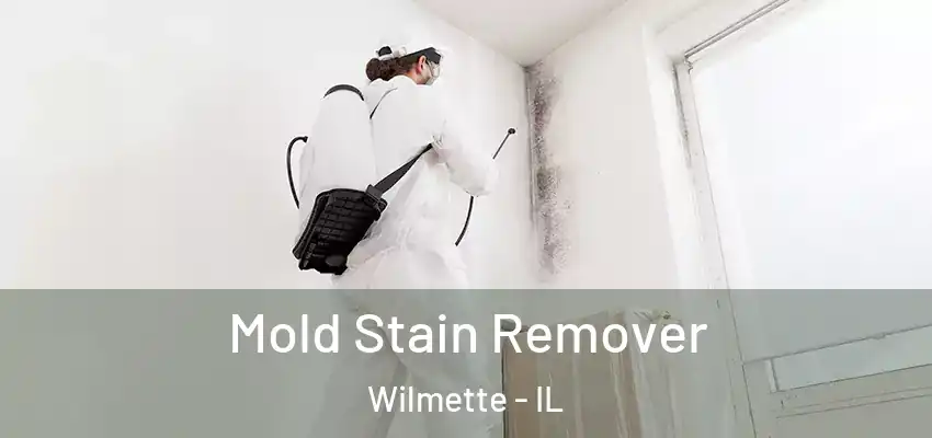 Mold Stain Remover Wilmette - IL