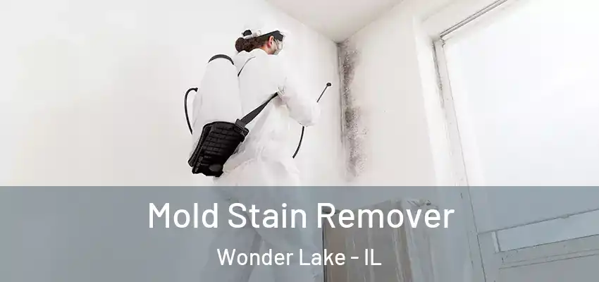  Mold Stain Remover Wonder Lake - IL