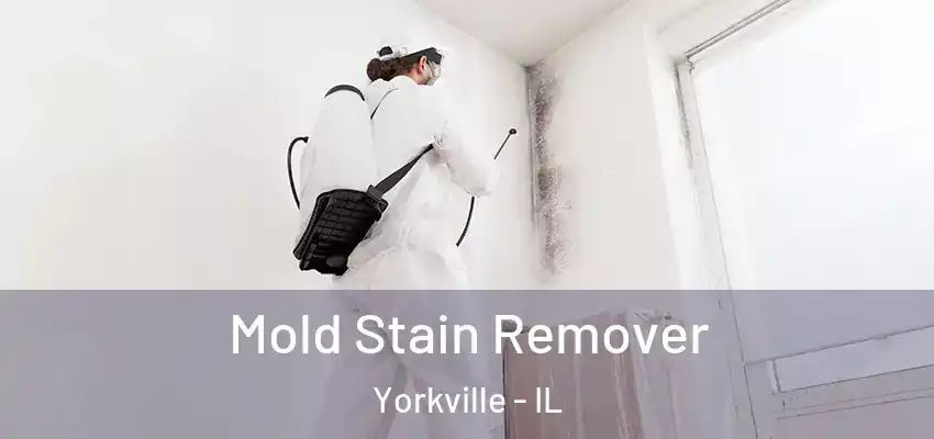 Mold Stain Remover Yorkville - IL