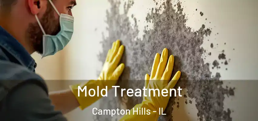 Mold Treatment Campton Hills - IL