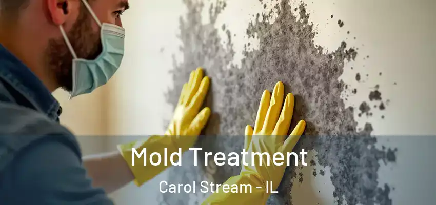  Mold Treatment Carol Stream - IL