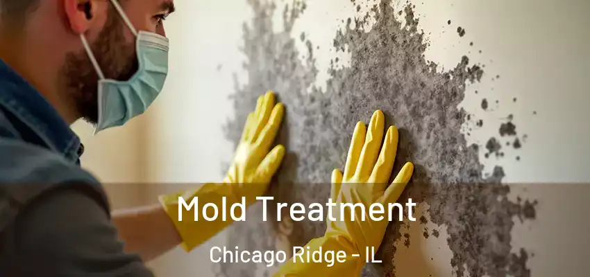  Mold Treatment Chicago Ridge - IL