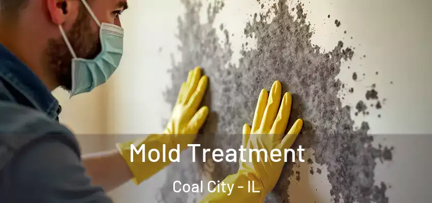  Mold Treatment Coal City - IL