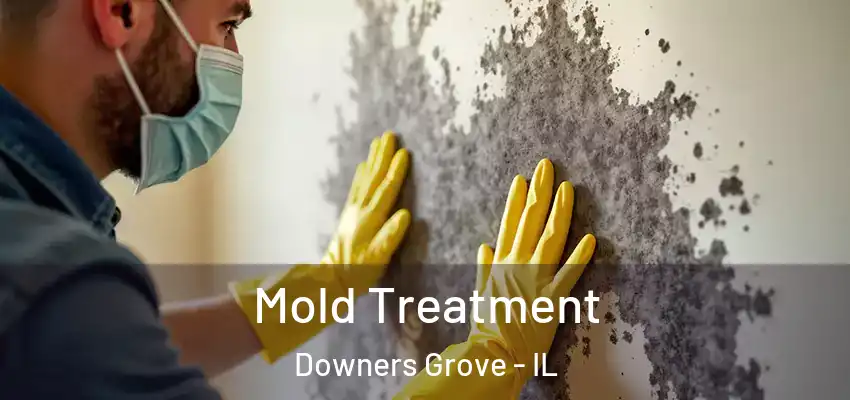 Mold Treatment Downers Grove - IL
