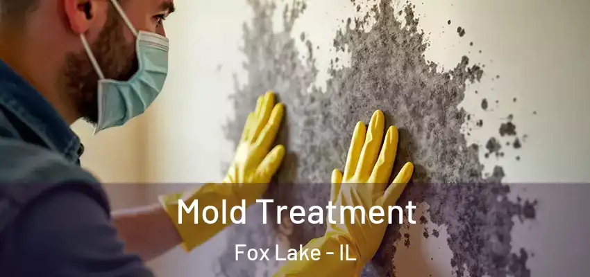  Mold Treatment Fox Lake - IL