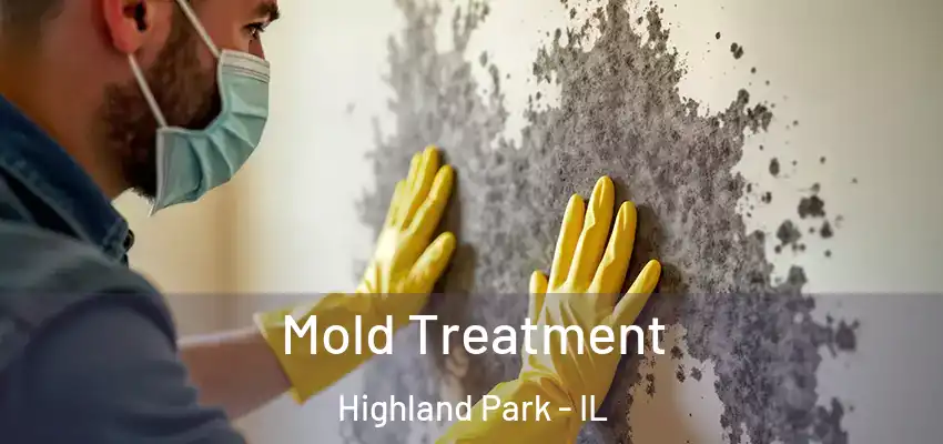 Mold Treatment Highland Park - IL