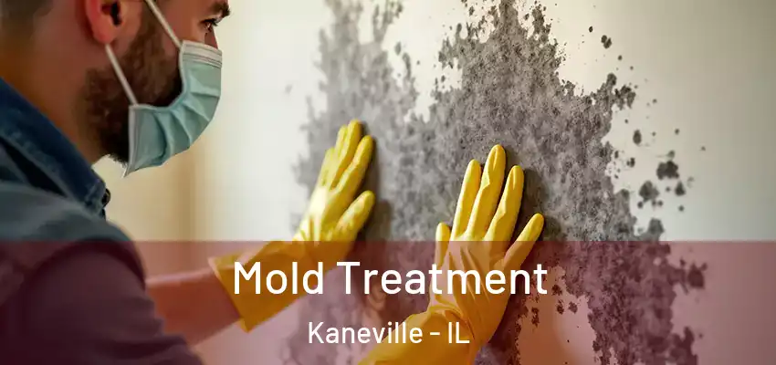 Mold Treatment Kaneville - IL