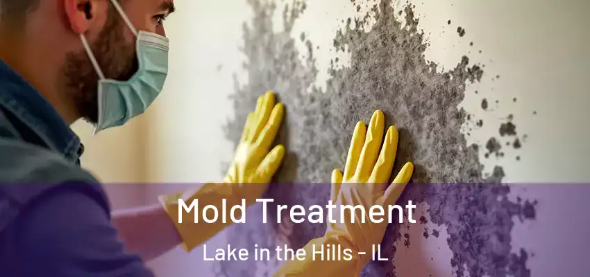  Mold Treatment Lake in the Hills - IL
