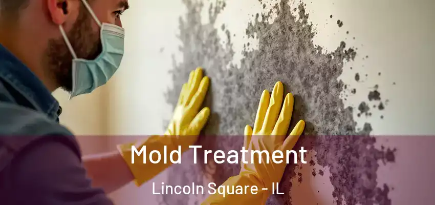  Mold Treatment Lincoln Square - IL
