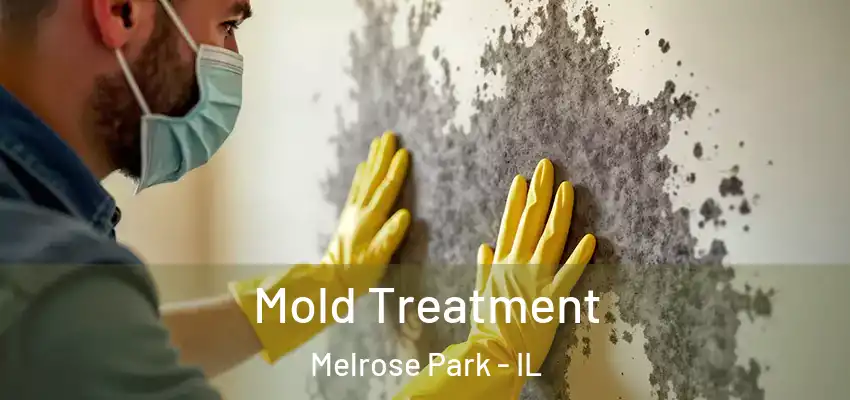 Mold Treatment Melrose Park - IL