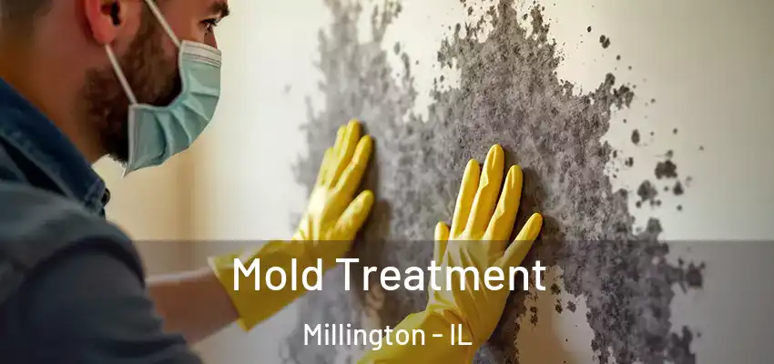 Mold Treatment Millington - IL