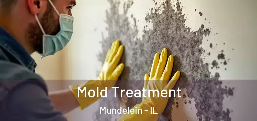  Mold Treatment Mundelein - IL