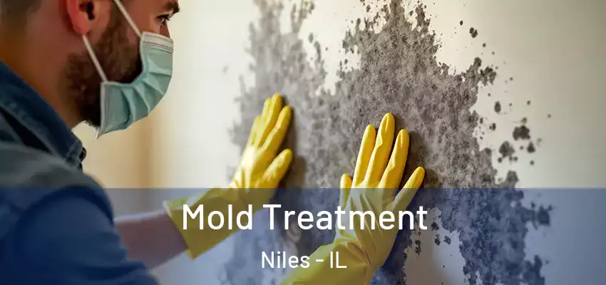 Mold Treatment Niles - IL