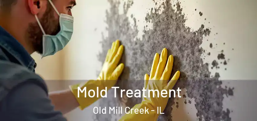 Mold Treatment Old Mill Creek - IL