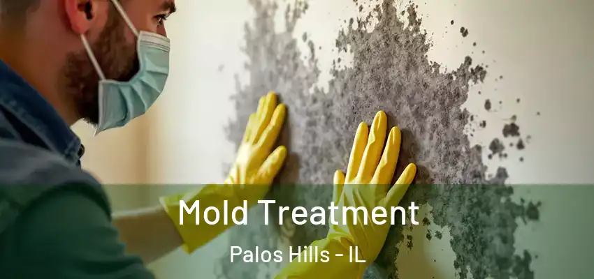  Mold Treatment Palos Hills - IL