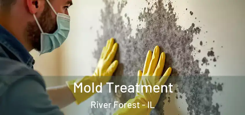 Mold Treatment River Forest - IL