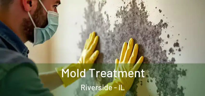 Mold Treatment Riverside - IL
