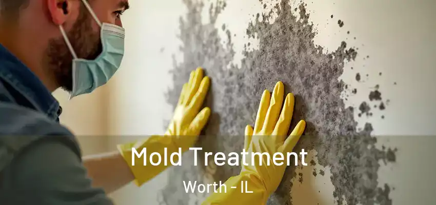 Mold Treatment Worth - IL