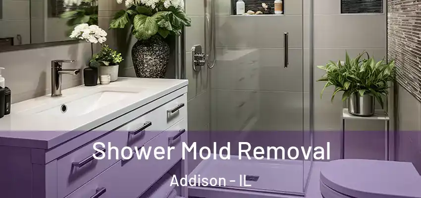  Shower Mold Removal Addison - IL