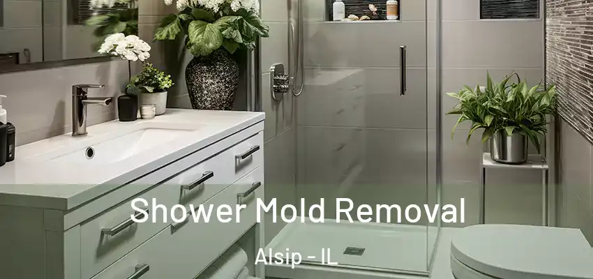 Shower Mold Removal Alsip - IL