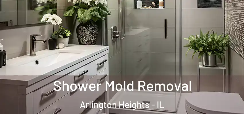 Shower Mold Removal Arlington Heights - IL