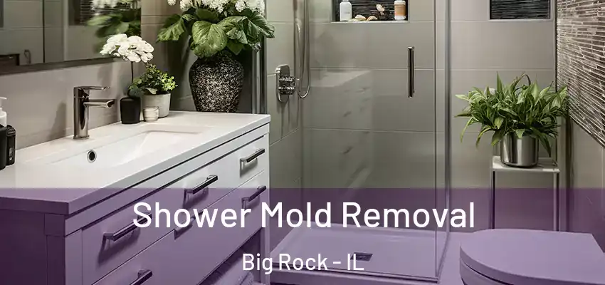  Shower Mold Removal Big Rock - IL