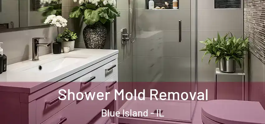 Shower Mold Removal Blue Island - IL