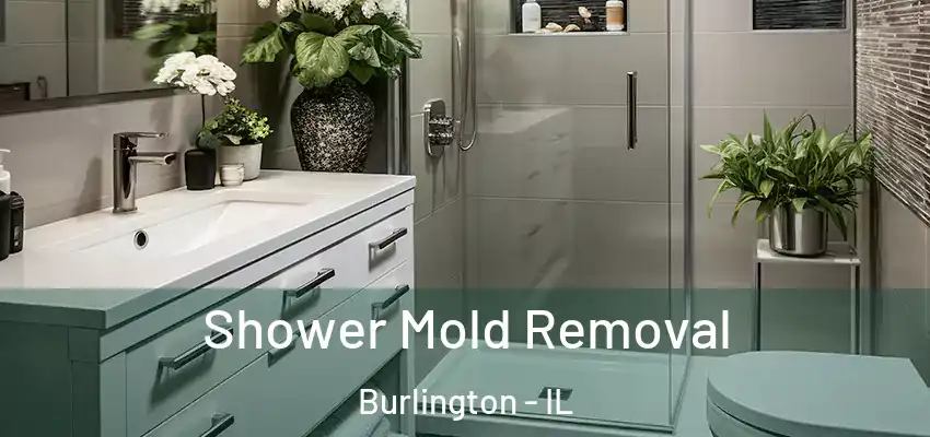  Shower Mold Removal Burlington - IL