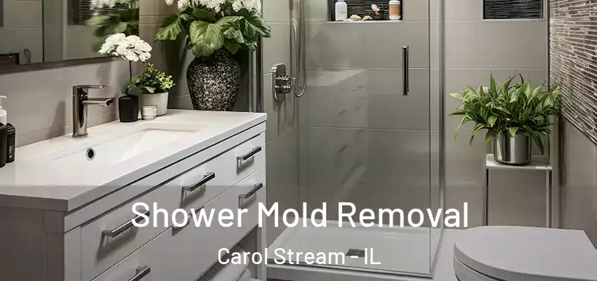  Shower Mold Removal Carol Stream - IL