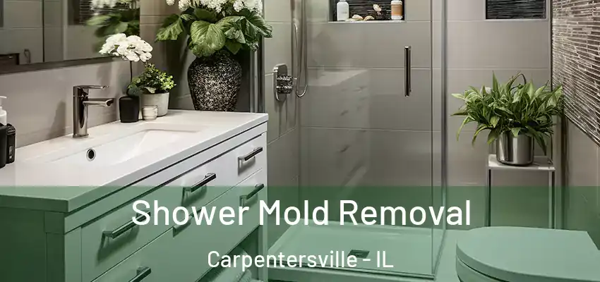  Shower Mold Removal Carpentersville - IL
