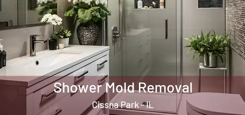Shower Mold Removal Cissna Park - IL