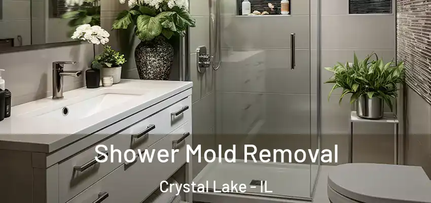  Shower Mold Removal Crystal Lake - IL