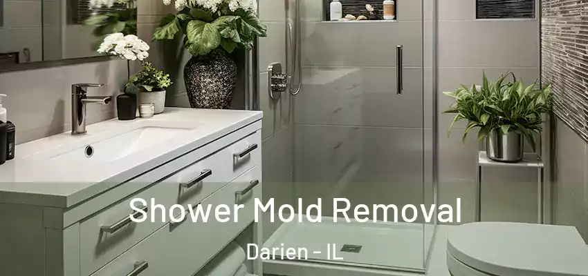 Shower Mold Removal Darien - IL