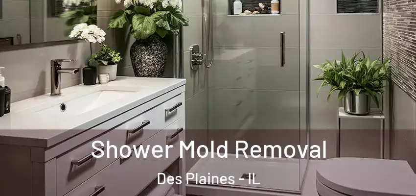 Shower Mold Removal Des Plaines - IL