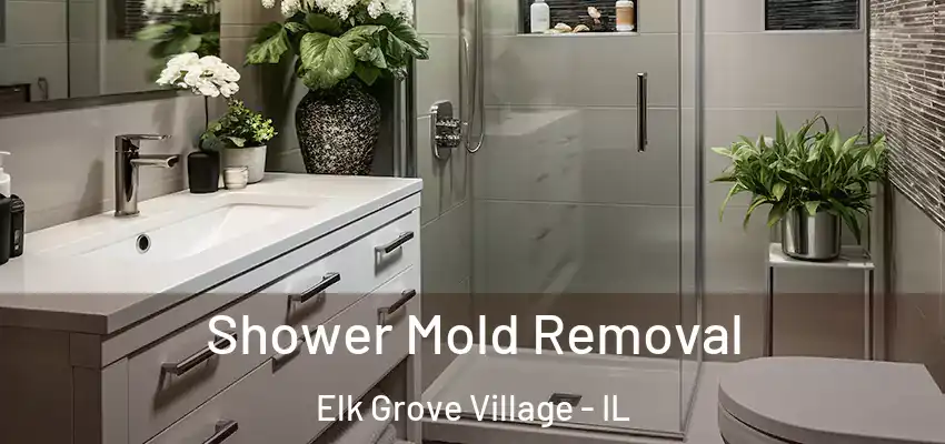 Shower Mold Removal Elk Grove Village - IL