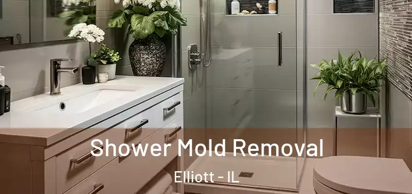 Shower Mold Removal Elliott - IL