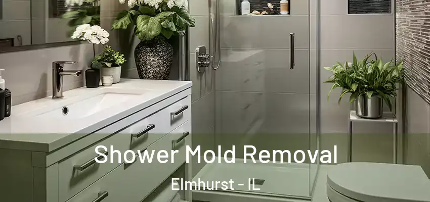 Shower Mold Removal Elmhurst - IL