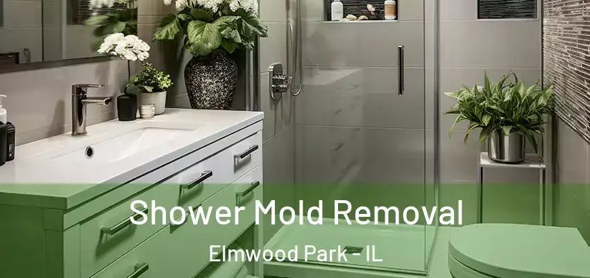Shower Mold Removal Elmwood Park - IL