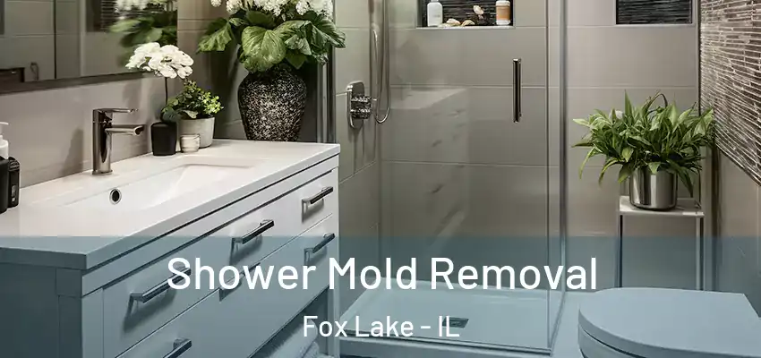 Shower Mold Removal Fox Lake - IL