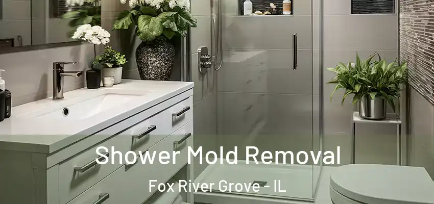  Shower Mold Removal Fox River Grove - IL