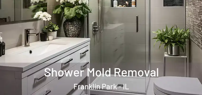  Shower Mold Removal Franklin Park - IL