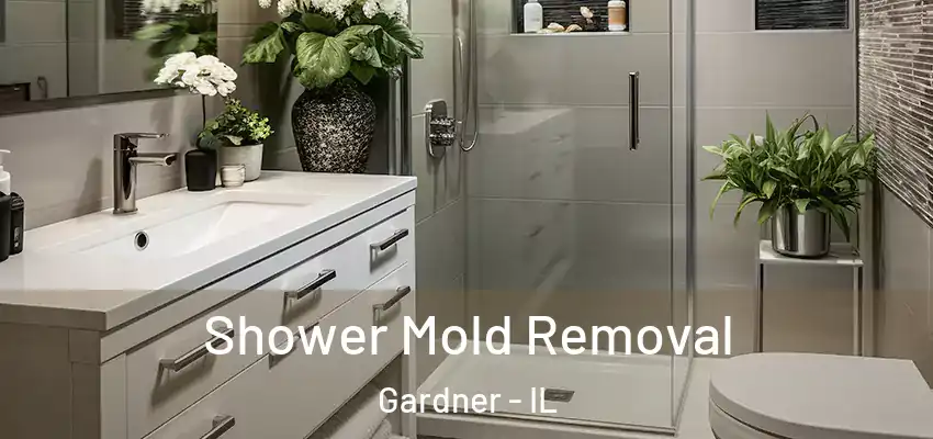 Shower Mold Removal Gardner - IL