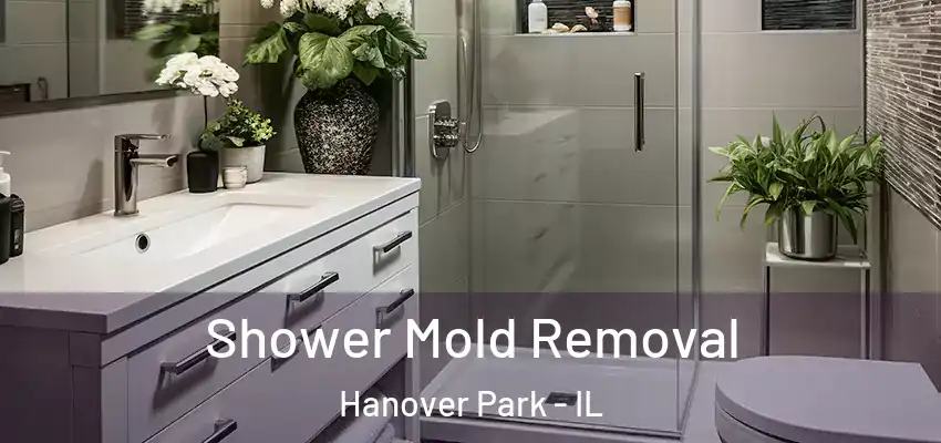 Shower Mold Removal Hanover Park - IL
