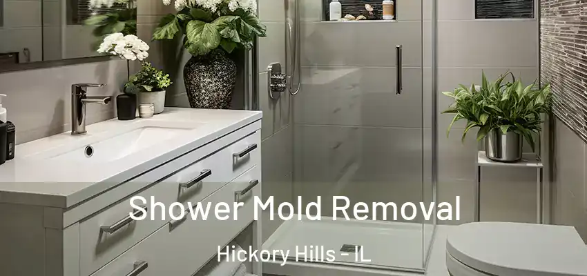 Shower Mold Removal Hickory Hills - IL