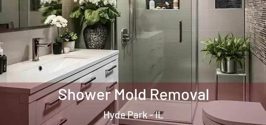 Shower Mold Removal Hyde Park - IL