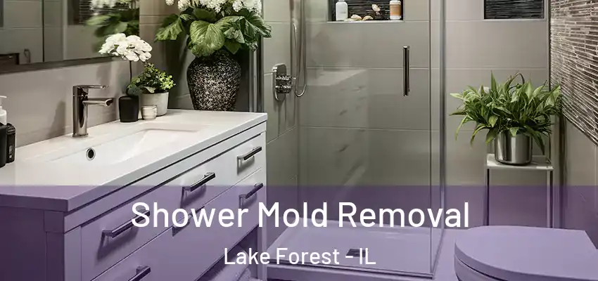 Shower Mold Removal Lake Forest - IL